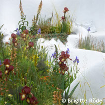 Neues von der Chelsea Flower Show