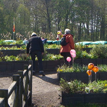 Landesgartenschau von Niedersachsen eröffnet