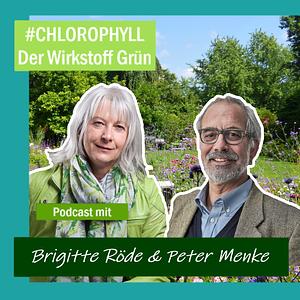Chlorophyll - der Wirkstoff Grün 